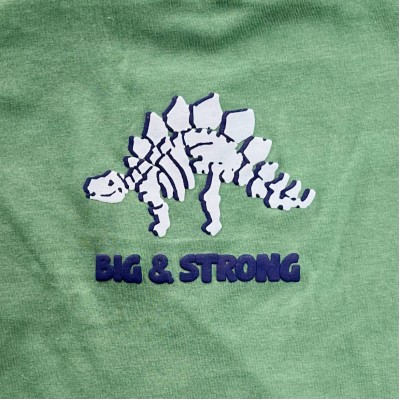 Conj Dinossauro Big Strong Vede